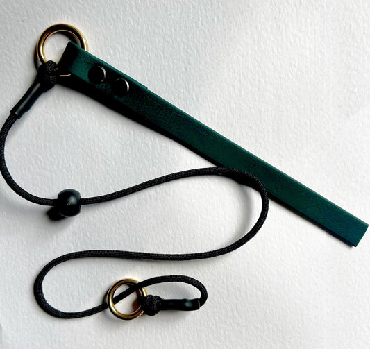 Premium Paracord 750 Grot / Slip Collar with Biothane Tab.a