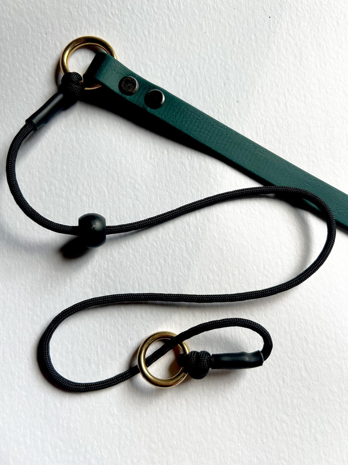Premium Paracord 750 Grot / Slip Collar with Biothane Tab.a
