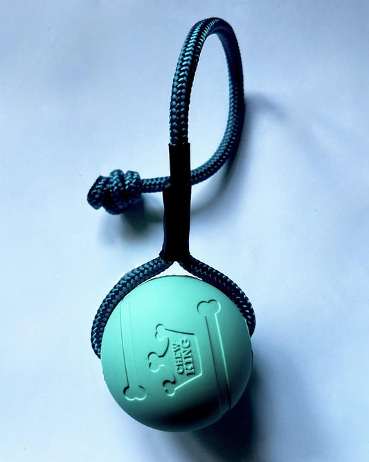 Chew King 7cm Reward Ball on rope.
