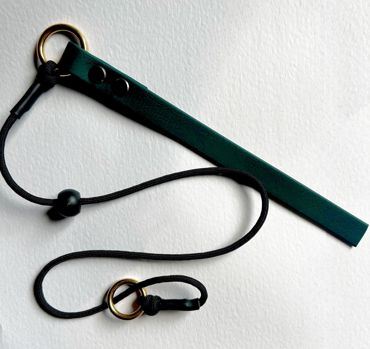 Premium Paracord 750 Grot / Slip Collar with Biothane Tab.a